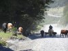 DSC07348.JPG