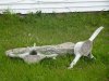 DSC08023.JPG
