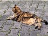 20250807_154156.jpg