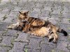 20250807_154147.jpg