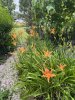 IMG_4911.jpeg