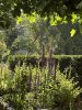 IMG_4901.jpeg
