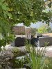 IMG_4871.jpeg