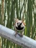 IMG_4722.jpeg