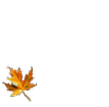 Herbstblatt.gif Herbstblatt.gif