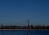 blaue Stunde.jpg blaue Stunde.jpg