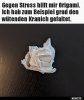 29531ab2e50e528efa3ef91c51b7ce8c7972.jpg