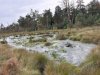 Hovenhoops Moor 2.jpg