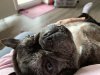 IMG_3866.jpeg