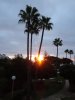 DSC01936.JPG