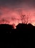 IMG_20251222_074617.jpg