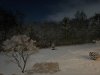 IMG_4079.jpeg