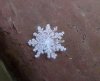 schnee.jpg
