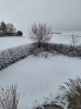 20260110_095312.jpg