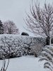 20260110_090358.jpg