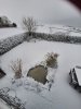 20260110_095420.jpg
