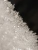 20231204_204427.jpg 20231204_204427.jpg