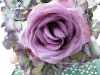 Rose.jpg Rose.jpg