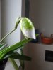 DSC02483.JPG