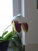 DSC02486.JPG
