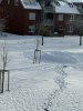 Schneeburg.jpg