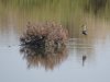 DSC01357.JPG