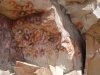 DSC07692.JPG