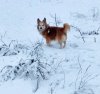 schnee1.jpg