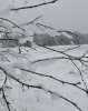 schnee2.jpg