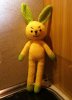 hase.jpg