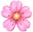 Kirschblüte_kl._.jpg