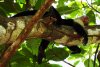 DSCN8401.JPG