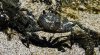 DSCN8062.JPG