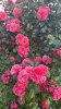IMG-20260601-WA0022.jpg