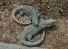 DSCN8632.JPG
