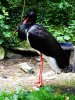 DSCN8649.JPG