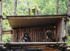DSCN8705.JPG