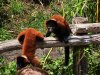 DSCN8718.JPG