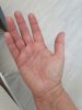 IMG_20260622_110727.jpg