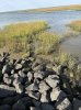 Cappel Neufeld bei ablaufwasser.jpg
