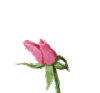 blume8.gif