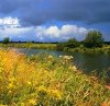 96_232x227.jpg