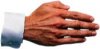 handschlag.jpg