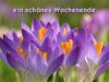 schÃ¶nes wochenende.jpg