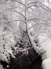 schnee2.jpg