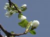 neu_26_04_2000_schwung.jpg