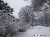 pict1532.jpg