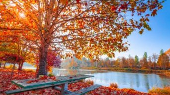 autumnlady