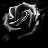 blackrose