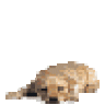 Bechtilein
